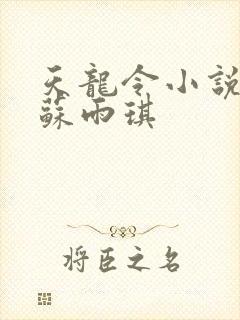 天龙令小说陈平苏雨琪