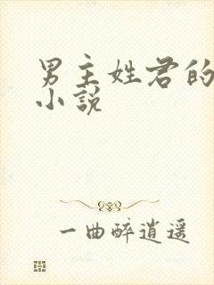 男主姓君的全部小说