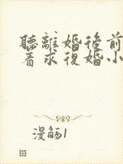 听离婚后前夫哭着求复婚小说