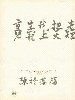 重生我把老婆女儿宠上天短剧封面