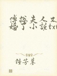 傅总夫人又闹离婚了小说txt