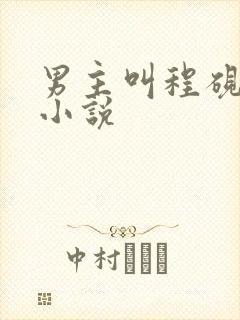 男主叫程砚宁的小说