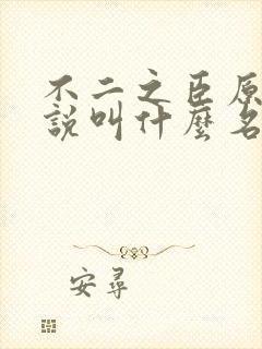 不二之臣原著小说叫什么名字