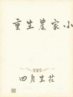 重生农家小厨娘