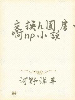 交换h圆房～嗯啊np小说