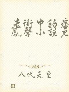 老街中的痞子赵凤声小说免费读