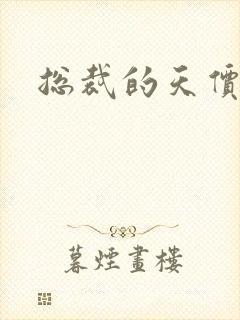 总裁的天价前妻封面