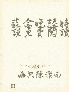 苏念晚陆时衍小说免费阅读最新章节