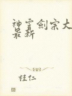 神霄剑宗大师兄最新