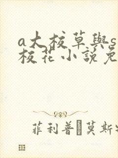 a大校草与s大校花小说免费阅读