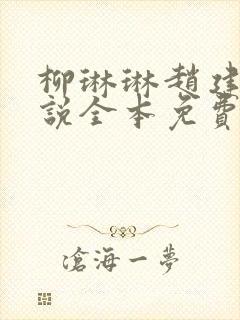 柳琳琳赵建国小说全本免费封面