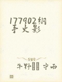 177902纲手火影