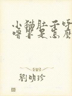 小猫肚子呼噜呼噜响是怎么回事封面