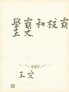 学霸和校霸双男主文