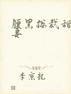 腹黑总裁甜宠娇妻封面