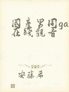 国产男同gay在线观看