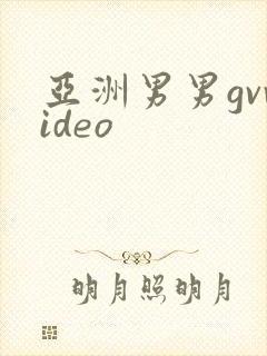 亚洲男男gvvideo