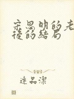 宋思明的老婆最后的结局封面