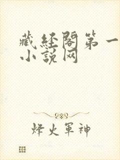 藏经阁第一版主小说网