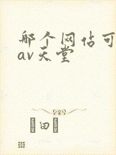 哪个网站可以看av天堂