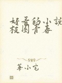 好看的小说推荐校园青春