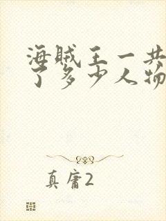 海贼王一共出场了多少人物封面