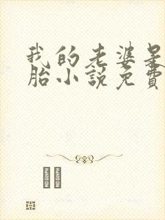 我的老婆是双胞胎小说免费阅读全本封面