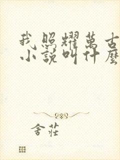 我照耀万古原著小说叫什么名字