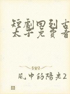 短剧回到古代当太子免费看