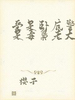 受是卧底警察攻是毒枭老大小说