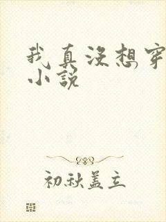 我真没想穿越啊小说