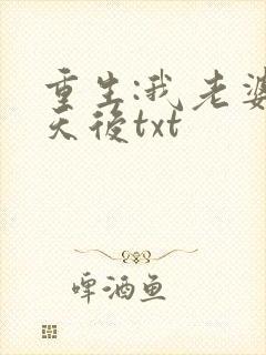 重生:我老婆是天后txt