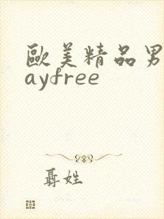 欧美精品男同gayfree