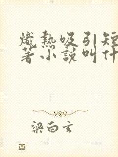 炽热吸引短剧原著小说叫什么