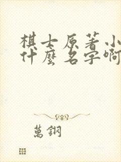 棋士原著小说叫什么名字啊封面