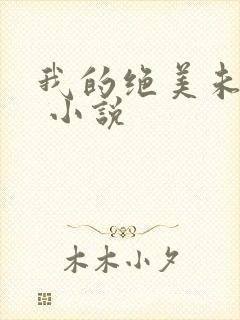 我的绝美未婚妻 小说封面