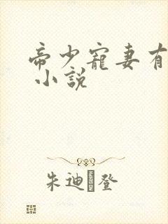 帝少宠妻有点甜 小说