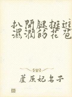 扒开腿挺进小舞湿润的花苞