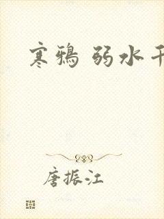 寒鸦 弱水千流