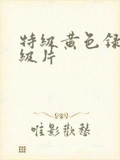 特级黄色录像一级片