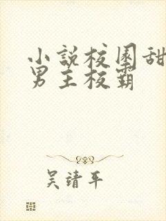 小说校园甜宠文男主校霸封面