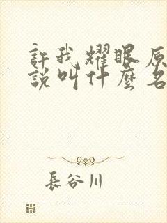 许我耀眼原著小说叫什么名字