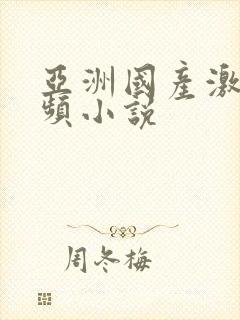 亚洲国产激情视频小说