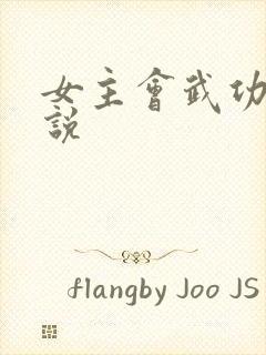 女主会武功的小说封面
