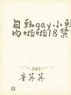 日韩gay小鲜肉啪啪18禁