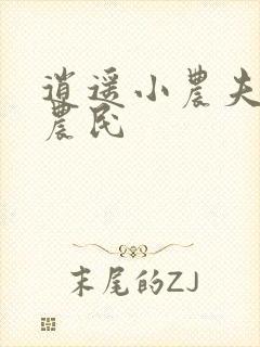 逍遥小农夫 小农民封面