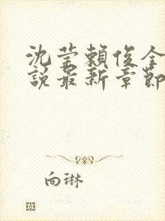 沈莹赖俊全文小说最新章节更新时间封面