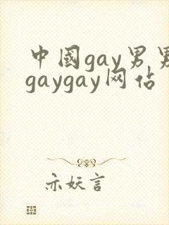 中国gay男男gaygay网站
