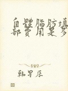 自体脂肪填充胸部费用是多少钱