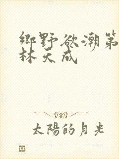 乡野欲潮第6章林天成